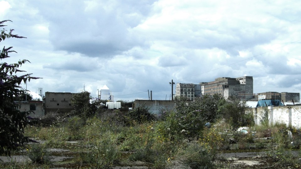 Grenzzonen urbaner Gebiete - DSCF8912_bearb